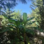 Suzana Garden 4*