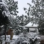 Suzana Garden 招待所 4*