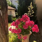 Suzana Garden 维纳斯