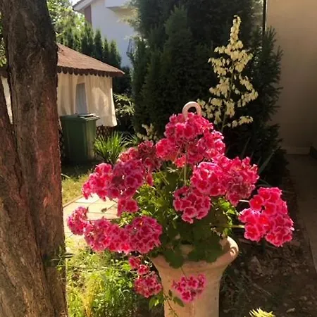 Suzana Garden Venus