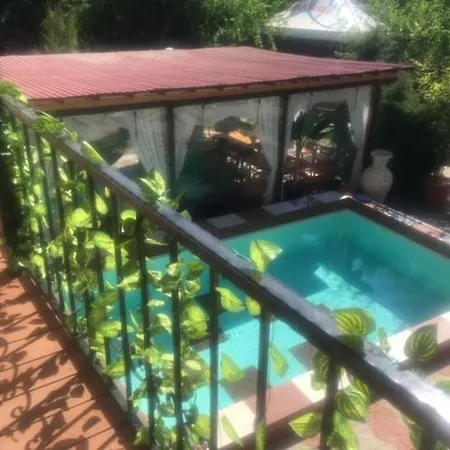 Suzana Garden Pensiune Venus