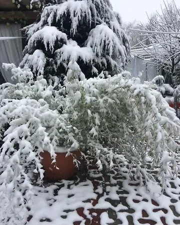 ゲストハウス Suzana Garden ヴィーナス