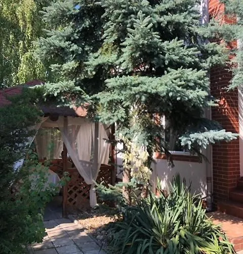 Suzana Garden 4* Венус