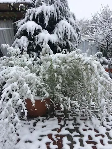 Гостевой дом Suzana Garden Венус